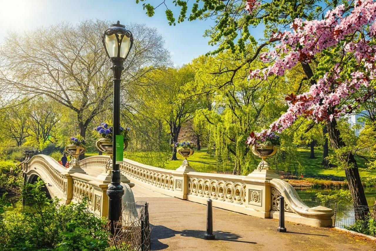 Frederick'S Place - Convenient Condo Walk To Central Park And Columbia University New York Dış mekan fotoğraf